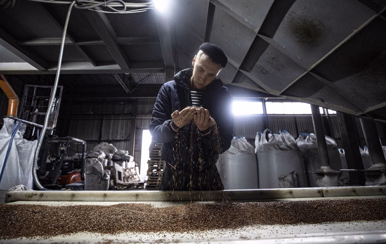 Завершення "торгового безвізу": ЄС та Україна ведуть перемовини про нову імпортну угоду