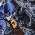 У Росії розглядають можливість вилучення власності у критиків режиму серед емігрантів.