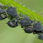 Европа «проснулась», но с оговорками: посол о реакции ЕС на конфликт в Украине