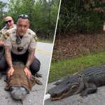 Артефакты из прошлого: что наши бабушки никогда бы не выбросили и почему