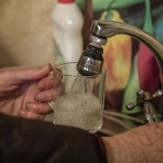 «Необычный пойманный преступник: 180-килограммовый аллигатор спровоцировал переполох»