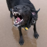 Леся Никитюк удивила выбором наряда для выписки: изысканный серый oversize-костюм