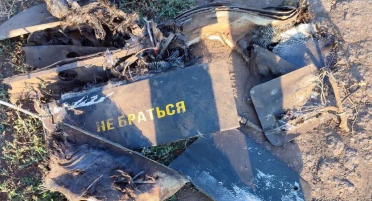 Український дрон-ловець: полювання на російські "Гербери"-приманки