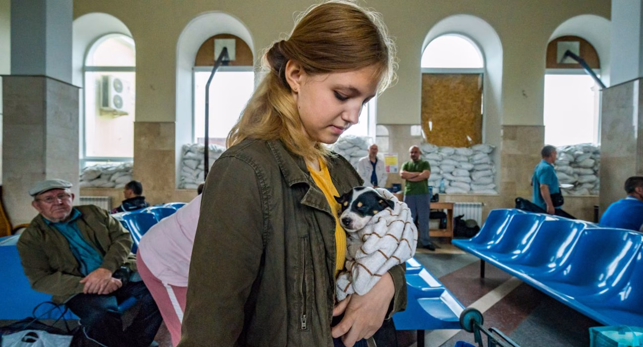 Унікальні стратегії для переселенців: як знайти роботу та безкоштовне житло після евакуації