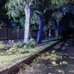 Негода в Харківській області: трагічний результат і наслідки (фото)