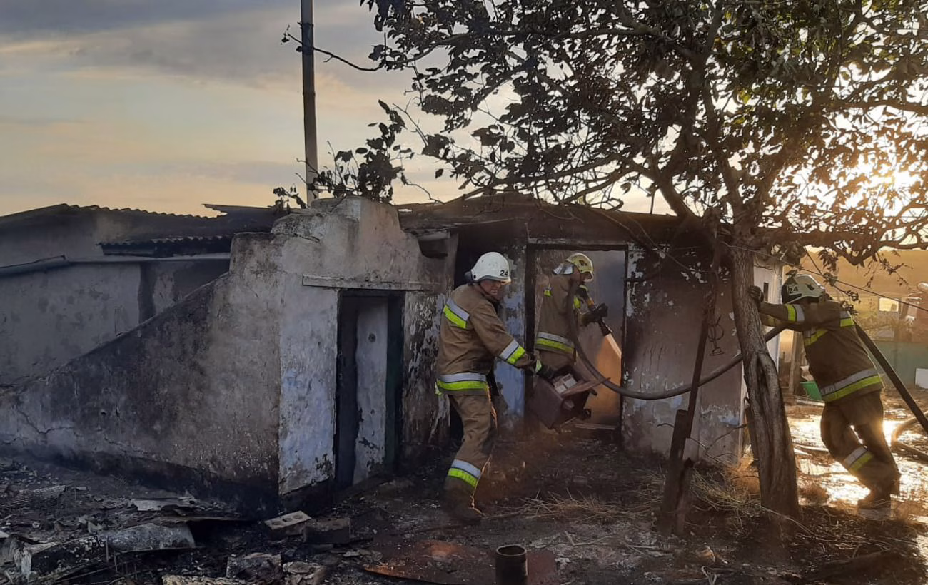Вогняний хаос на Миколаївщині: пожежі знищують ліси, автомобілі та житло