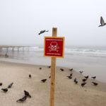 Захищаючи свій дім: Як тренують 20-річних добровольців у Третій штурмовій