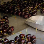 Необычные ретро-автомобили: в чем их превосходство над серийными моделями?