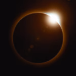 Украинские защитники освободили территорию под Покровском: детали продвижения