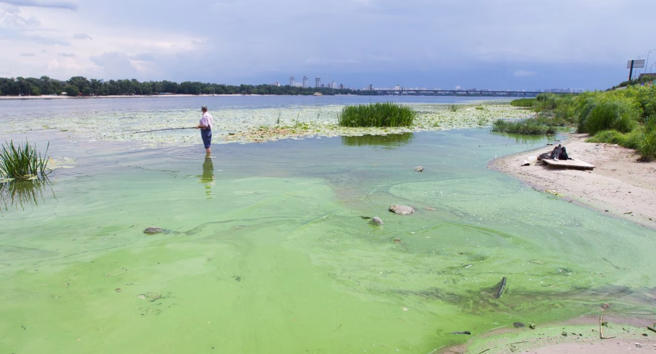 Дніпро в цвіту: приховані фактори та шляхи уповільнення процесу