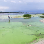 Гарбузовий вибух смаків: несподіваний кетчуп, який підкорить вашу кухню