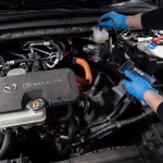 Прагнення до перемоги: історія Каті “Мяу” Троян, яка змінила ІТ на фронт і назавжди залишилася героїнею