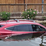 Поринаємо в знання: Топ-10 українських книг для натхнення школярів до навчання