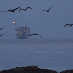 Уіткофф оголосив про майбутню зустріч з українськими делегатами в Нью-Йорку