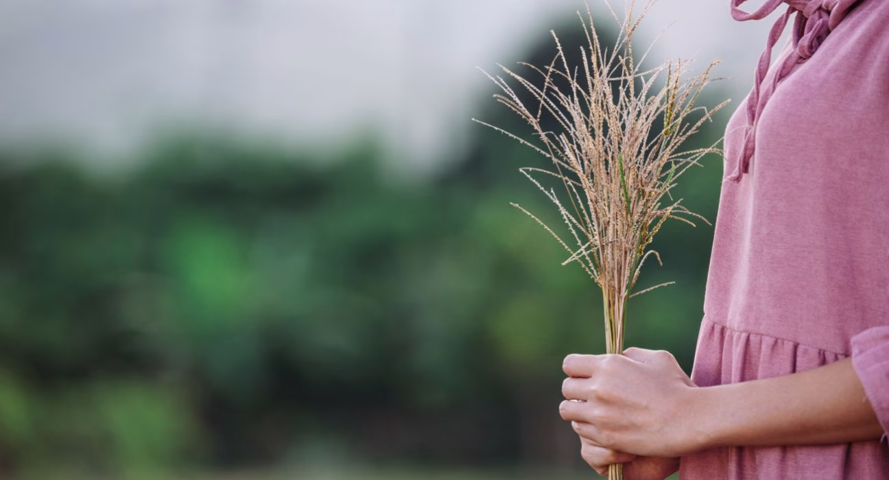 Таємниці та традиції 4 вересня: заборони, святкування та привітання з Днем ангела