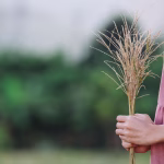 Геймерські батальйони: в Росії задумали мобілізувати гравців для таємних операцій, – ЦПД