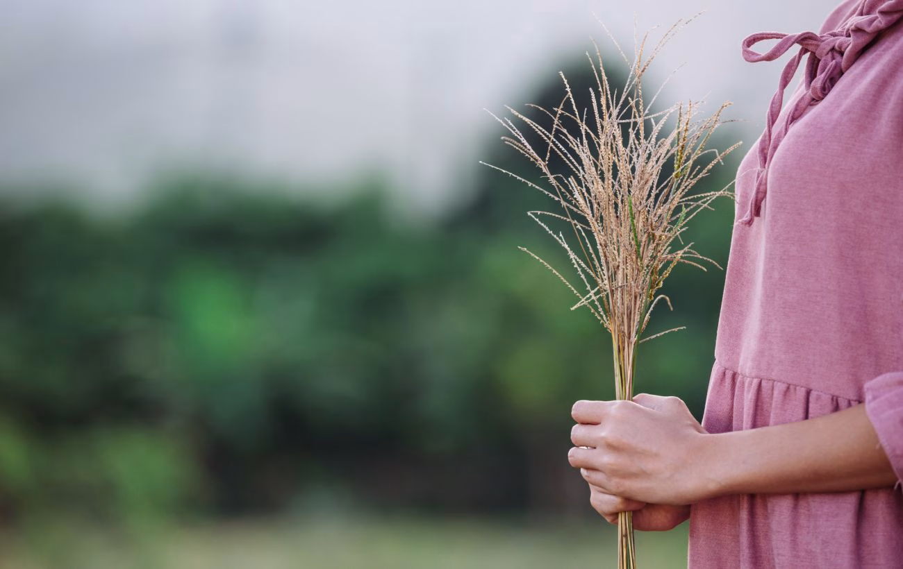Таємниці та традиції 4 вересня: заборони, святкування та привітання з Днем ангела